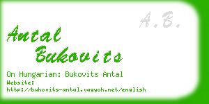 antal bukovits business card